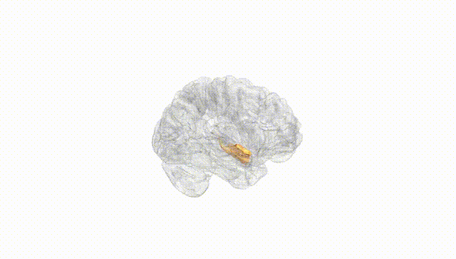 Hemisphere White
