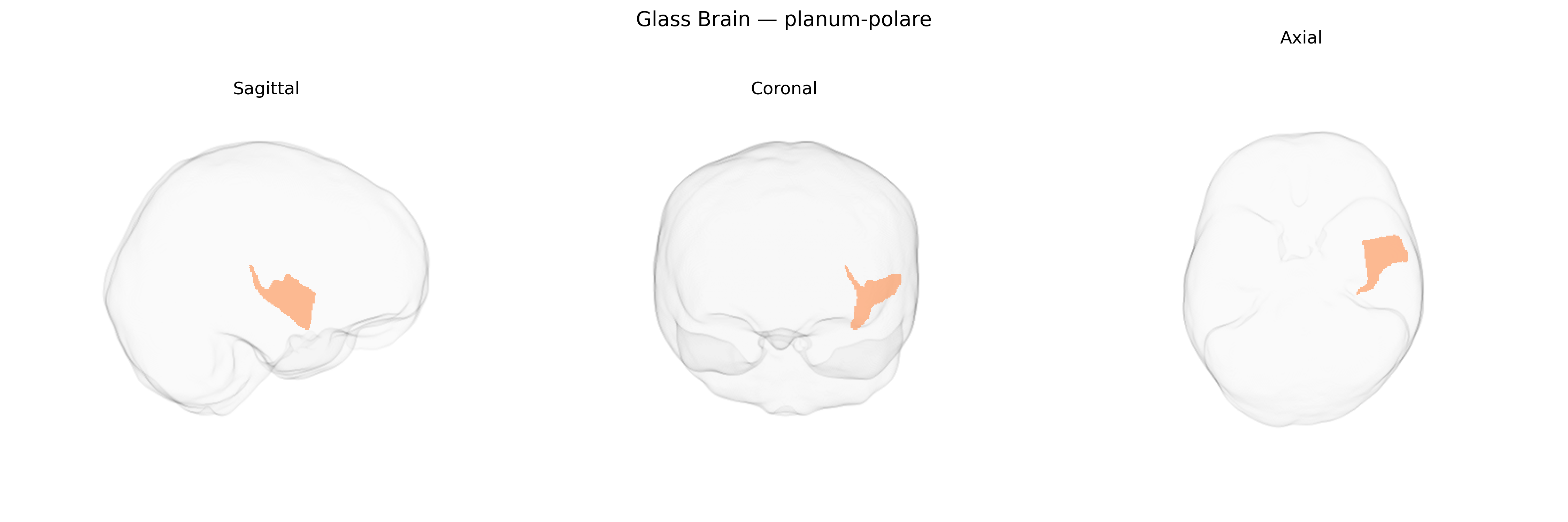 Triplanar Ghost Brain
