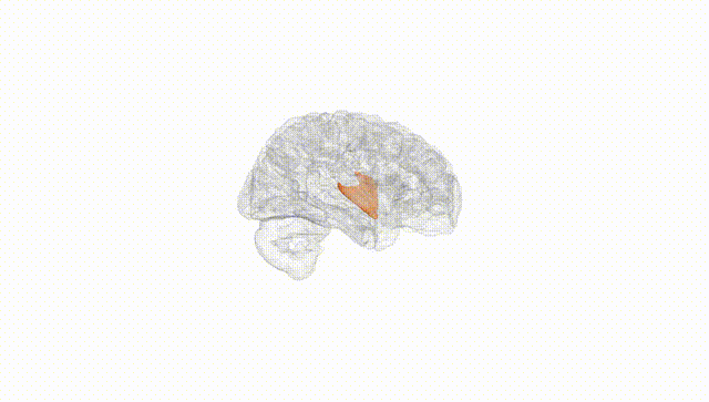 Hemisphere White