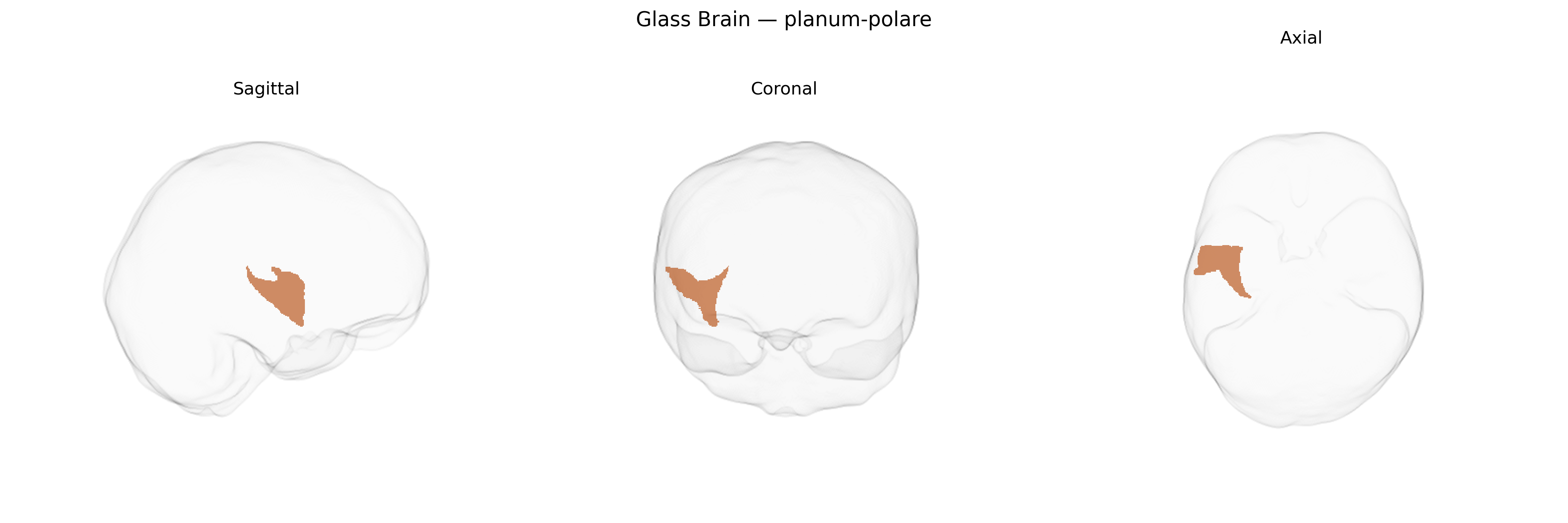 Triplanar Ghost Brain