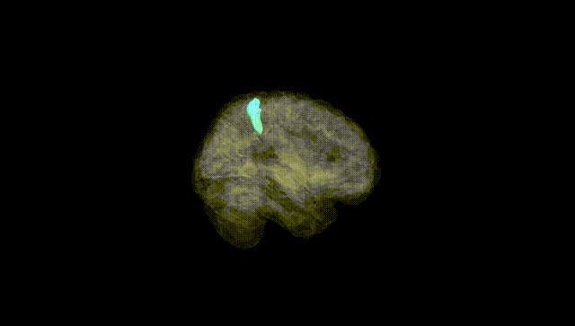Full Brain Black