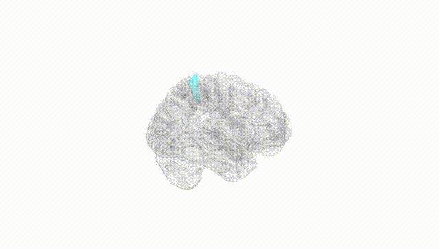Hemisphere White