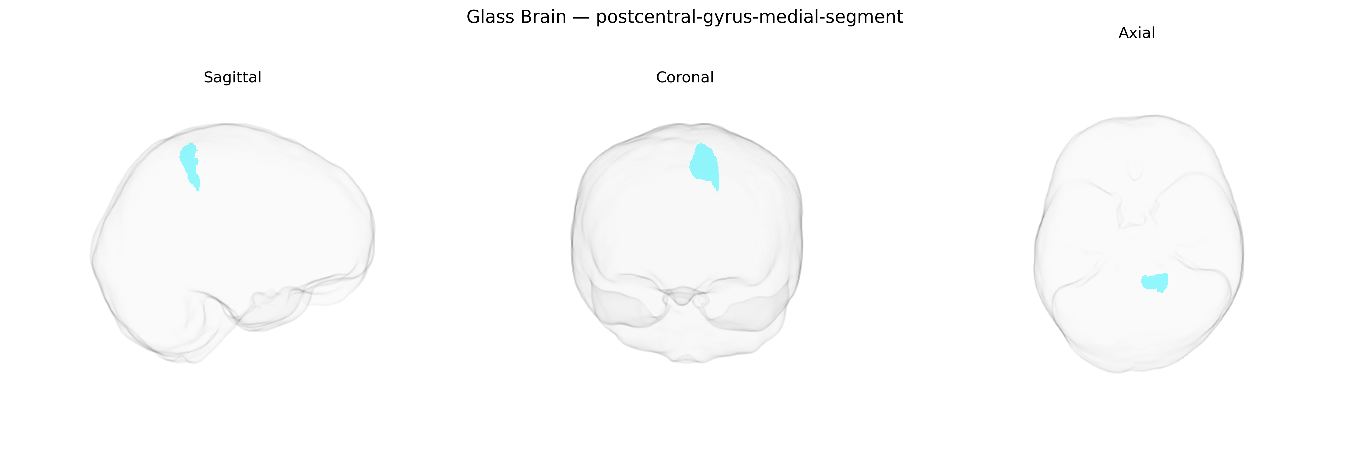 Triplanar Ghost Brain
