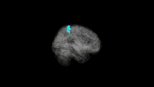 Full Brain Black