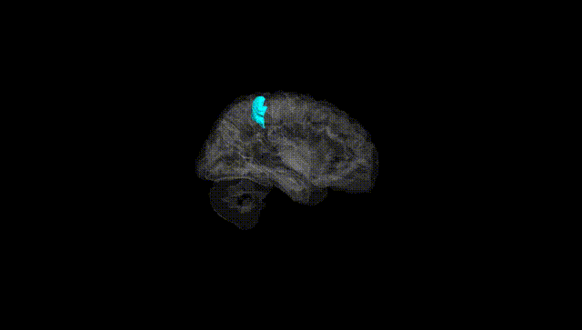 Hemisphere Black