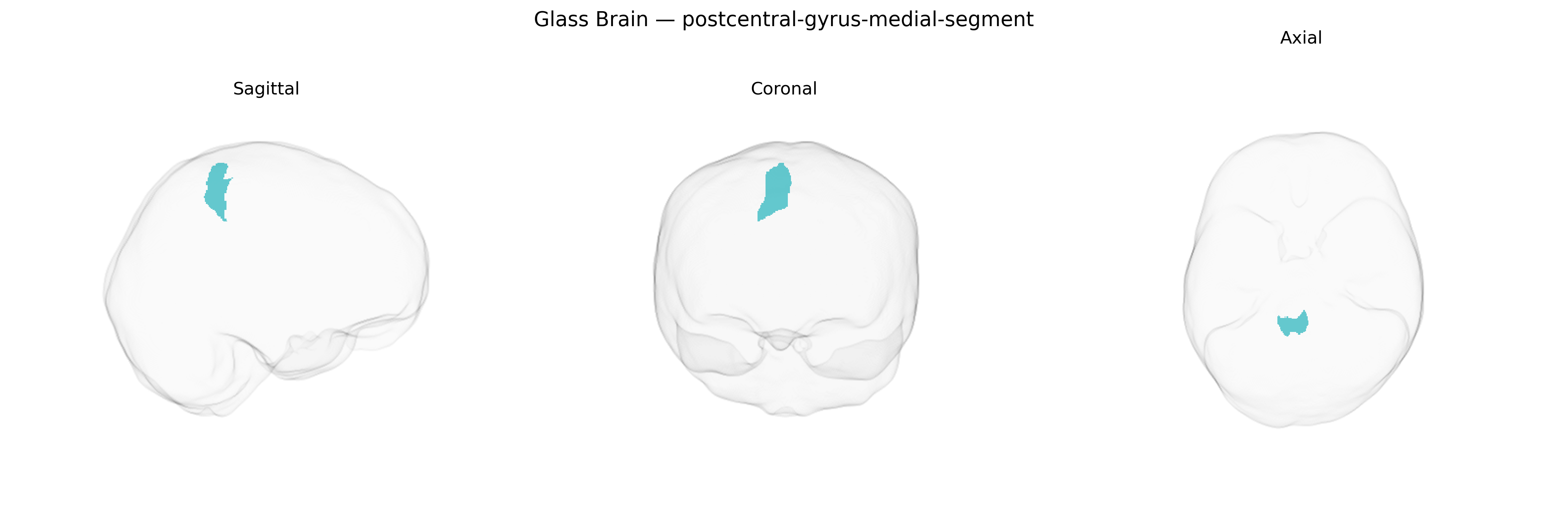 Triplanar Ghost Brain