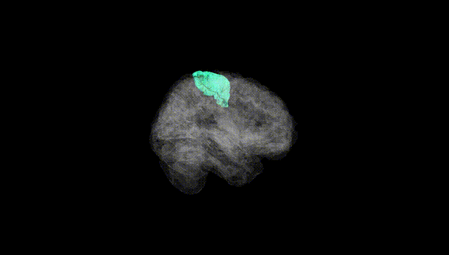 Full Brain Black