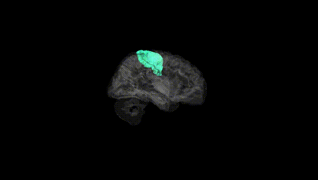 Hemisphere Black