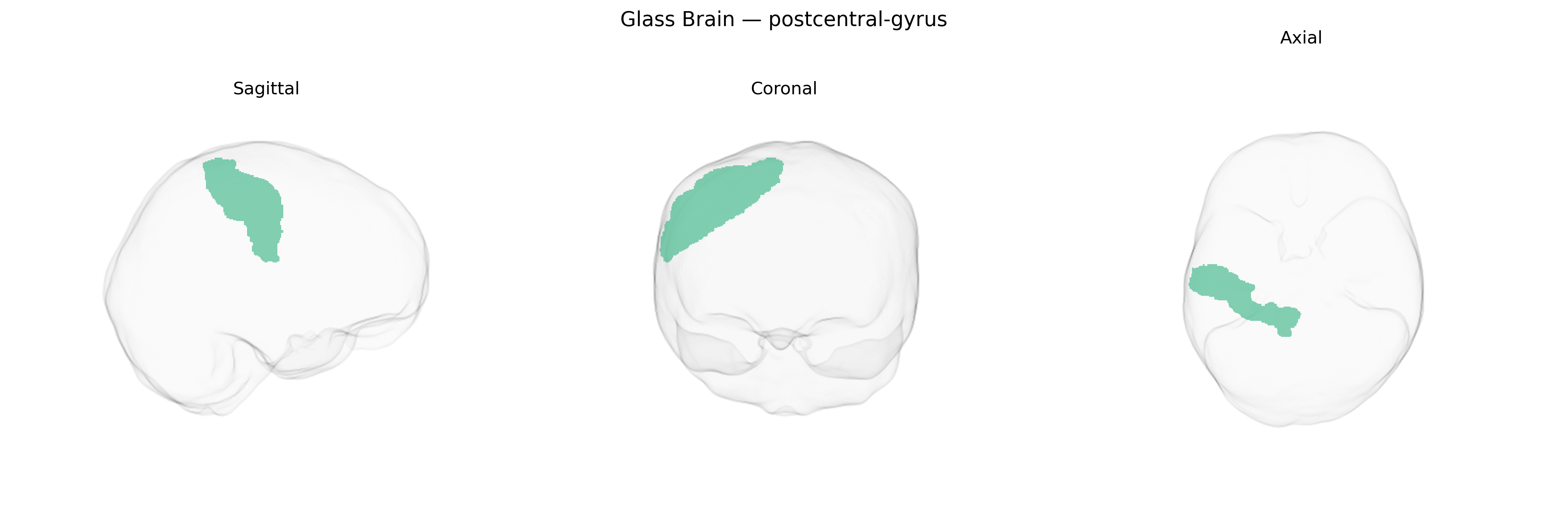 Triplanar Ghost Brain