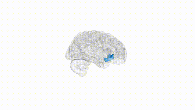 Hemisphere White
