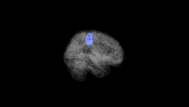 Full Brain Black