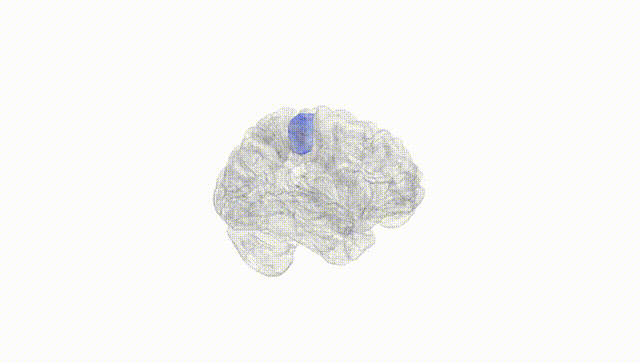 Hemisphere White