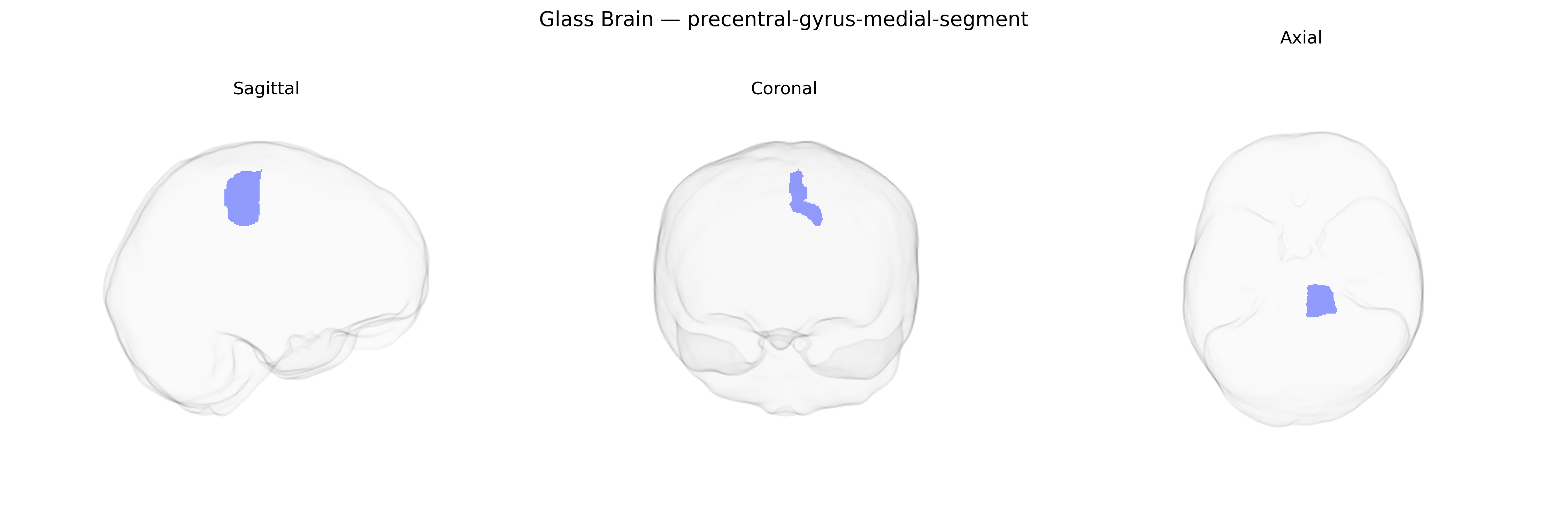 Triplanar Ghost Brain