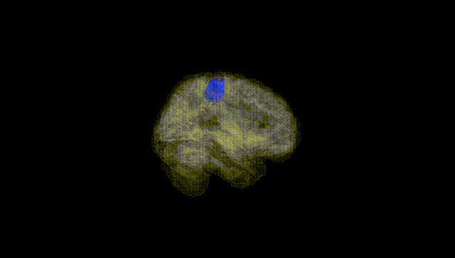 Full Brain Black