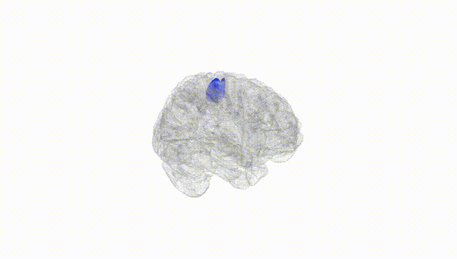 Full Brain White