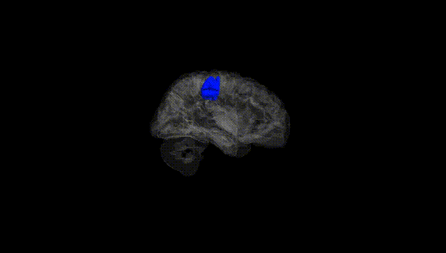 Hemisphere Black