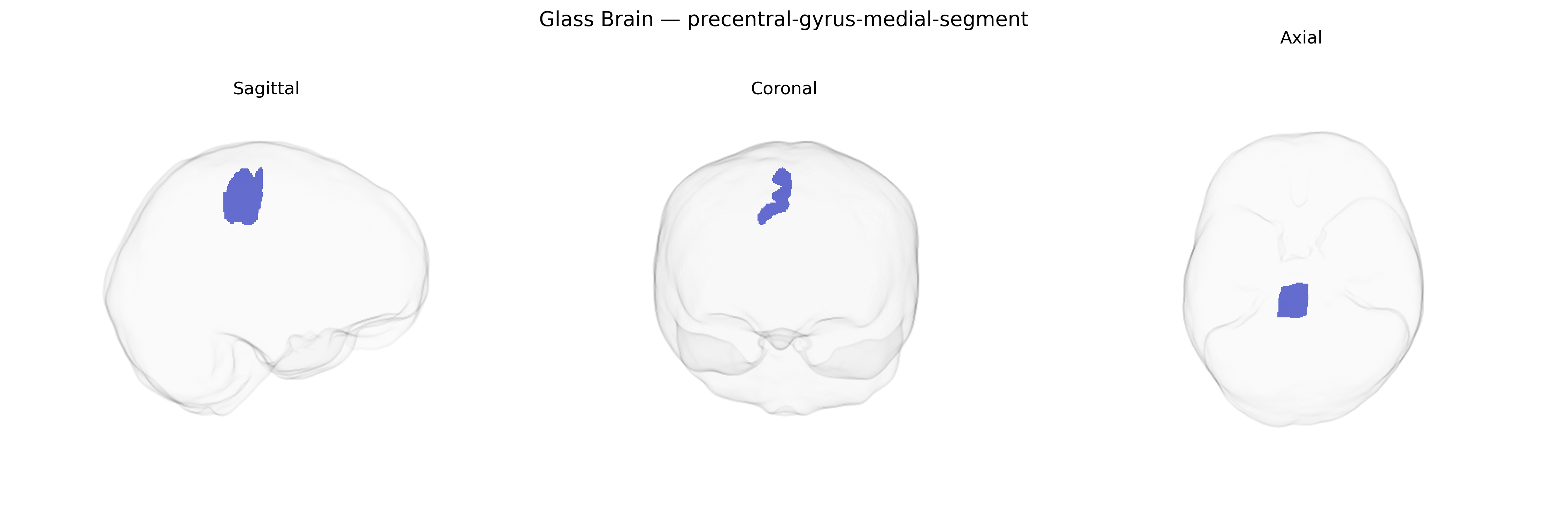 Triplanar Ghost Brain