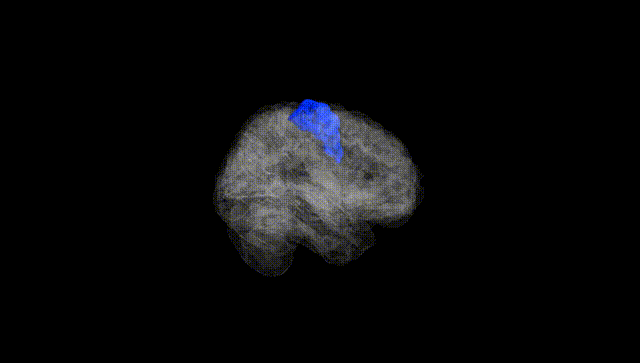 Full Brain Black