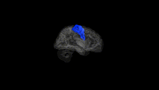 Hemisphere Black
