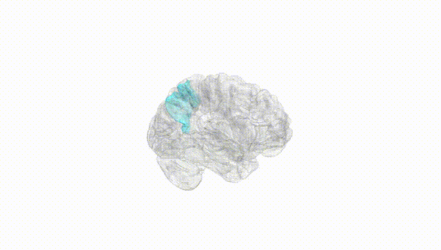 Hemisphere White