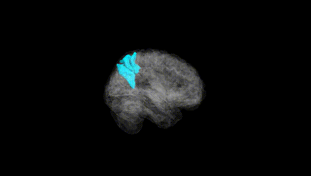 Full Brain Black