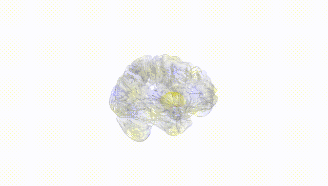 Hemisphere White
