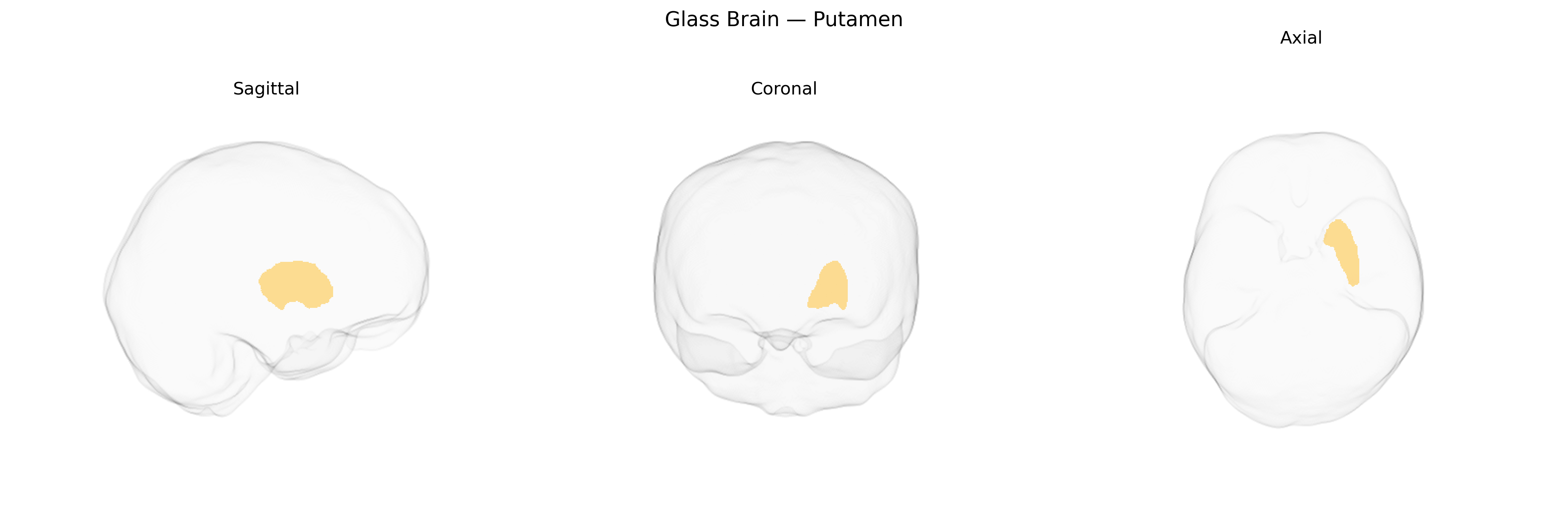 Triplanar Ghost Brain