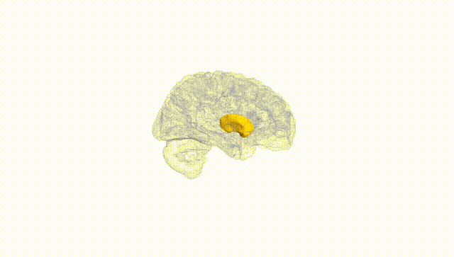 Hemisphere White