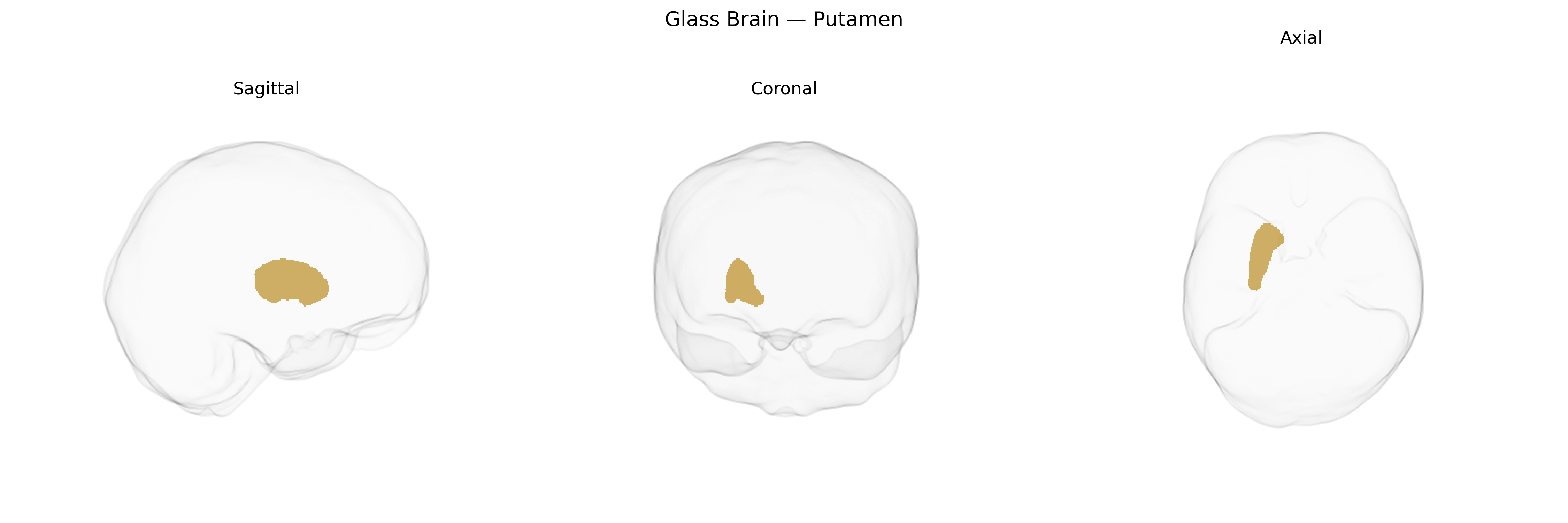 Triplanar Ghost Brain