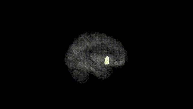 Hemisphere Black