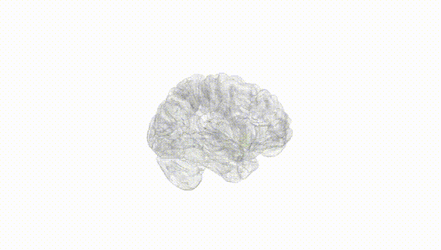 Hemisphere White