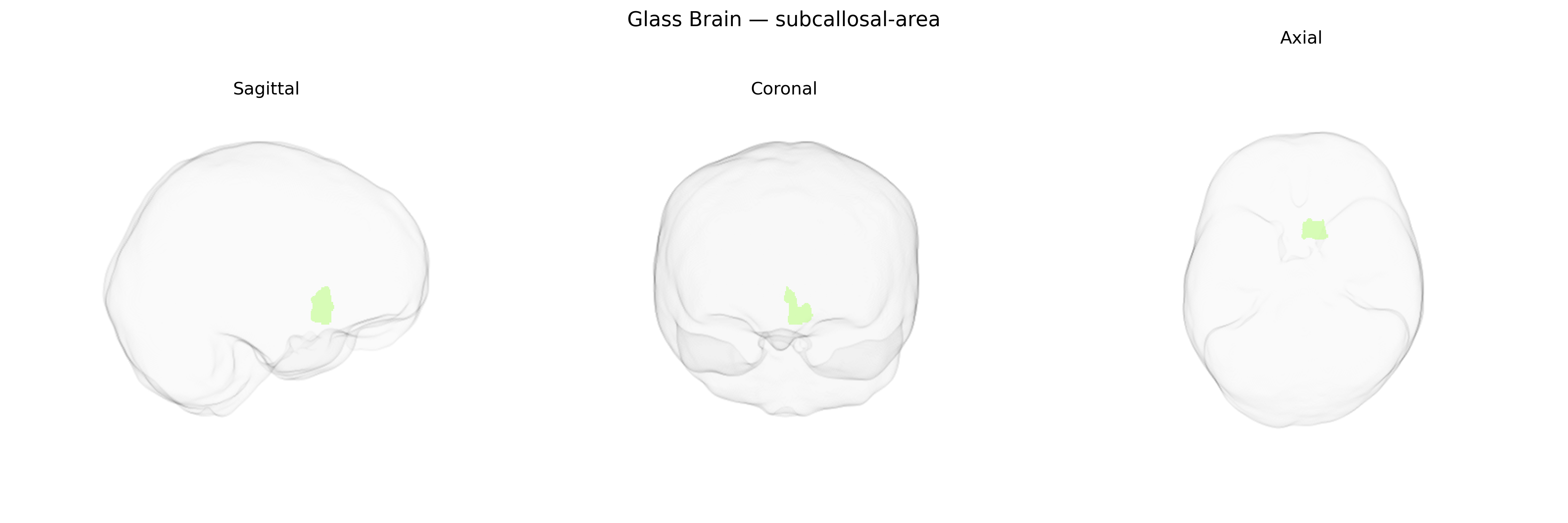 Triplanar Ghost Brain