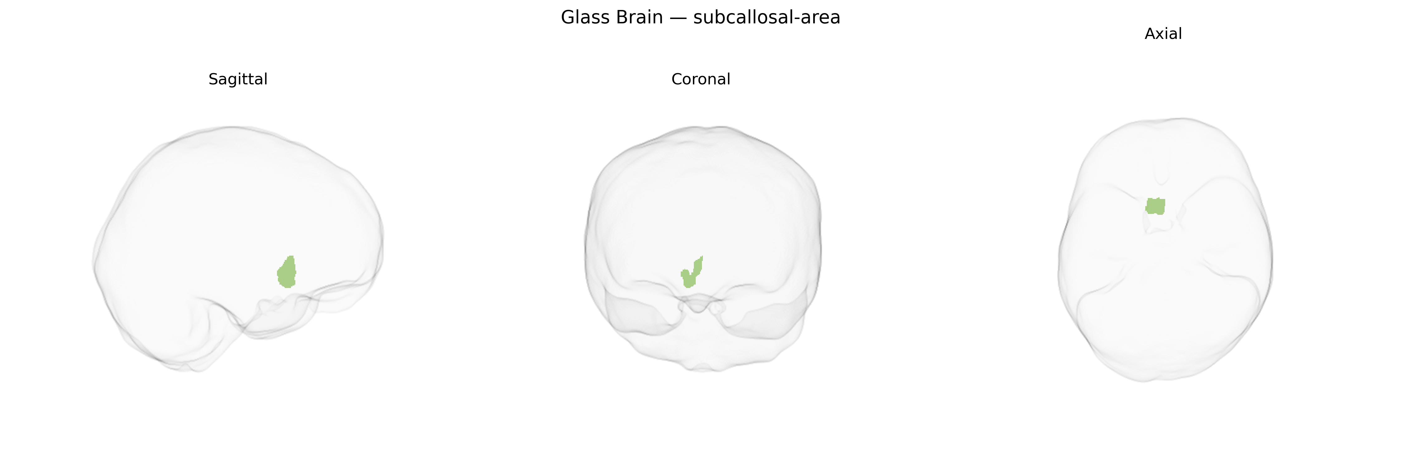 Triplanar Ghost Brain