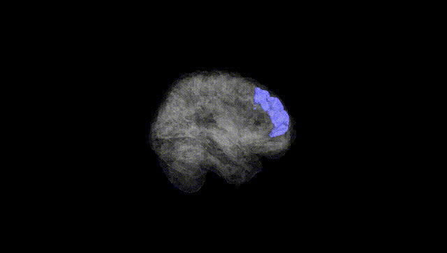 Full Brain Black