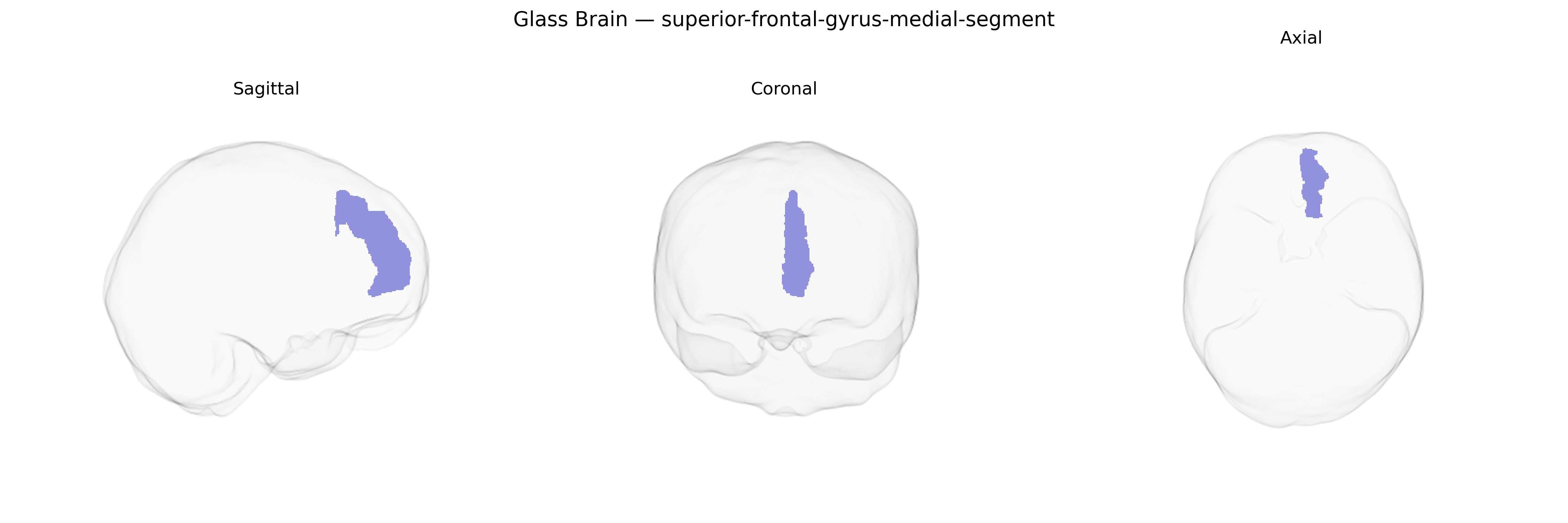 Triplanar Ghost Brain
