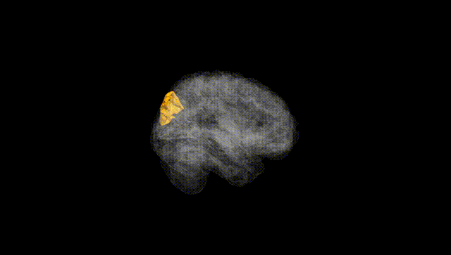 Full Brain Black