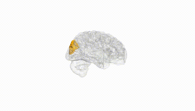 Hemisphere White