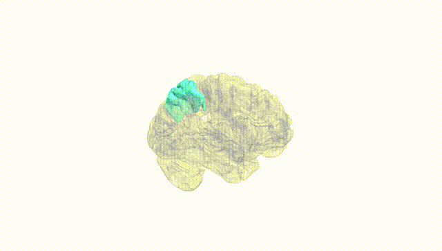 Hemisphere White