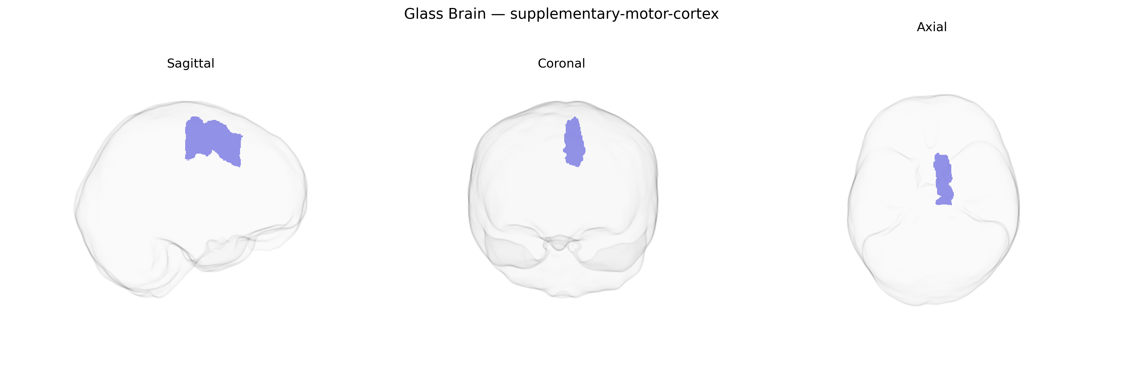Triplanar Ghost Brain