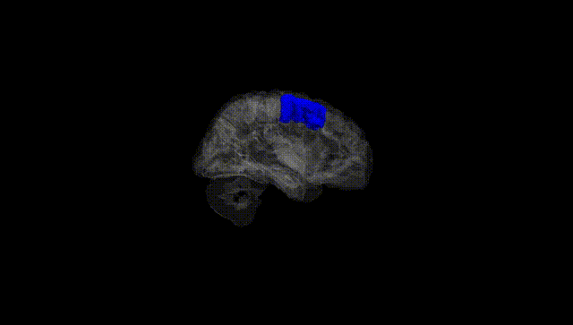 Hemisphere Black