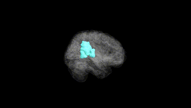 Full Brain Black