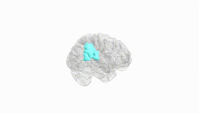 Hemisphere White
