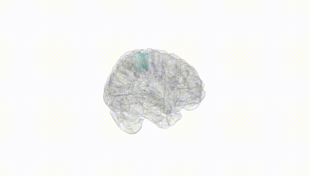 Full Brain White