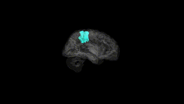 Hemisphere Black