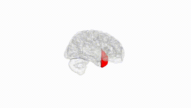 Hemisphere White