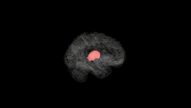 Hemisphere Black