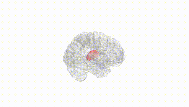 Hemisphere White