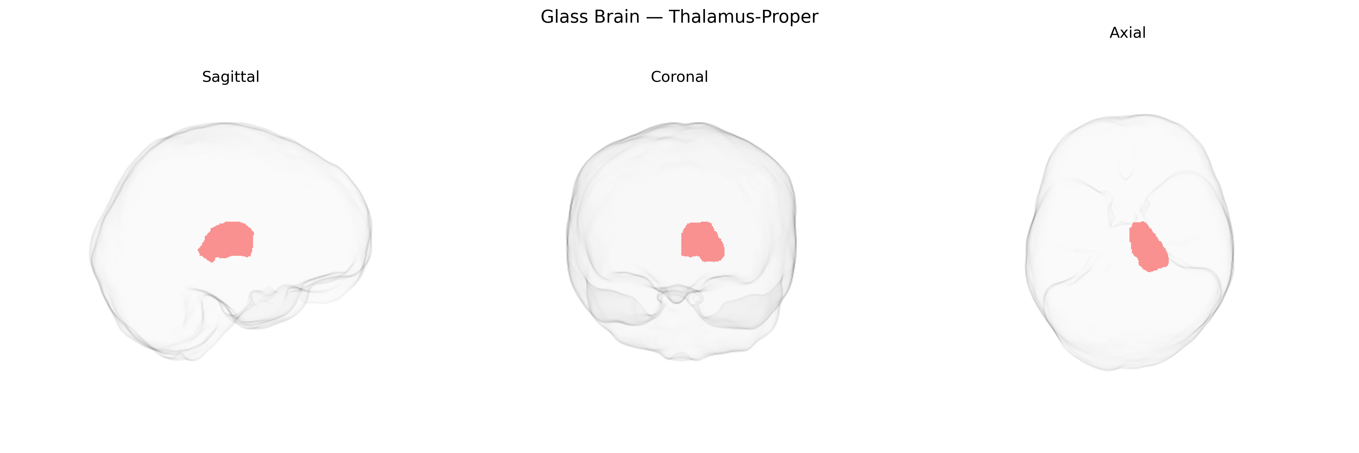 Triplanar Ghost Brain