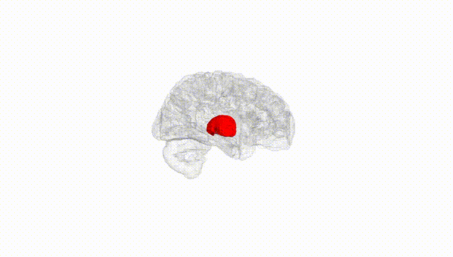 Hemisphere White