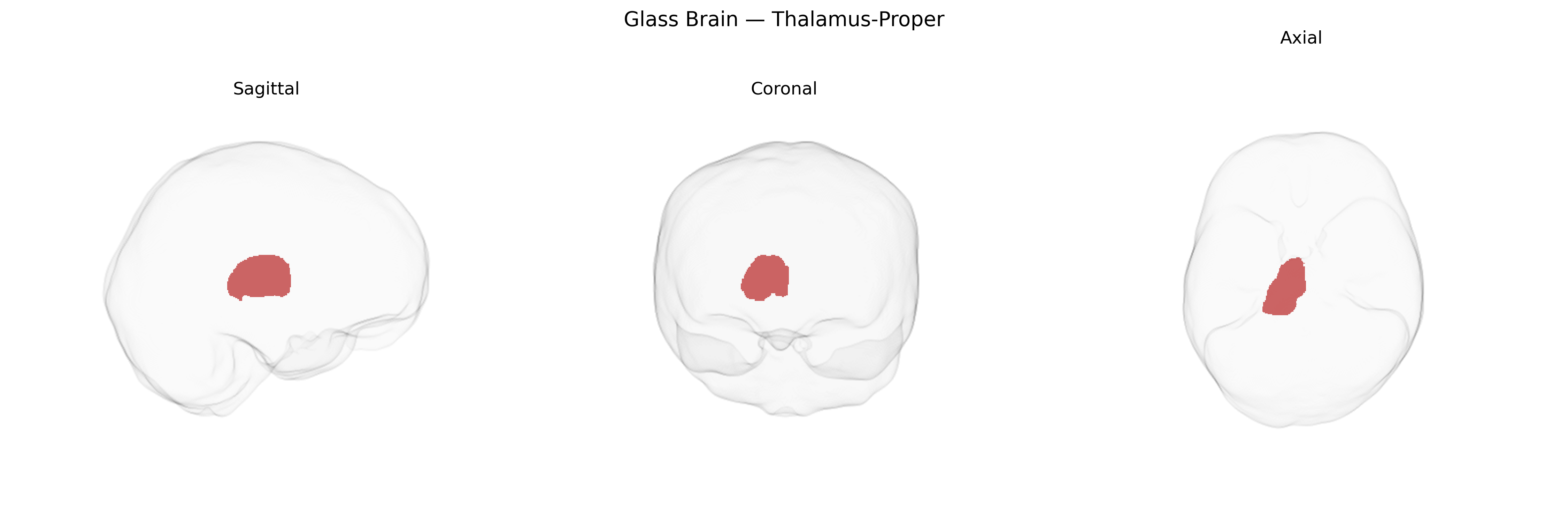 Triplanar Ghost Brain